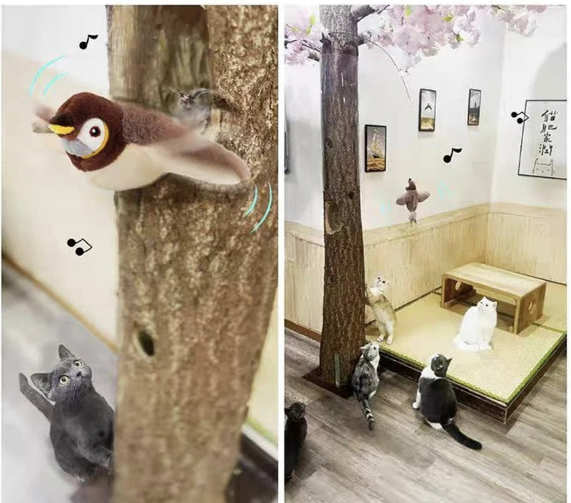 PassaroVoador - Brinquedo Para Animais de estimação.